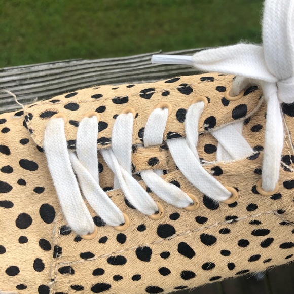 Dolce Vita Madox Sneakers in Leopard - Picture 6 of 7